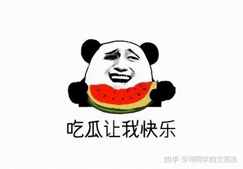 吃瓜群众免费吃,全民狂欢！揭秘吃瓜群众福利盛宴  第1张